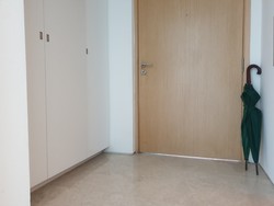 Rhapsody On Mount Elizabeth (D9), Apartment #204304911